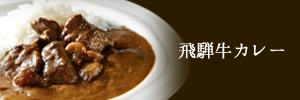 飛騨牛カレー
